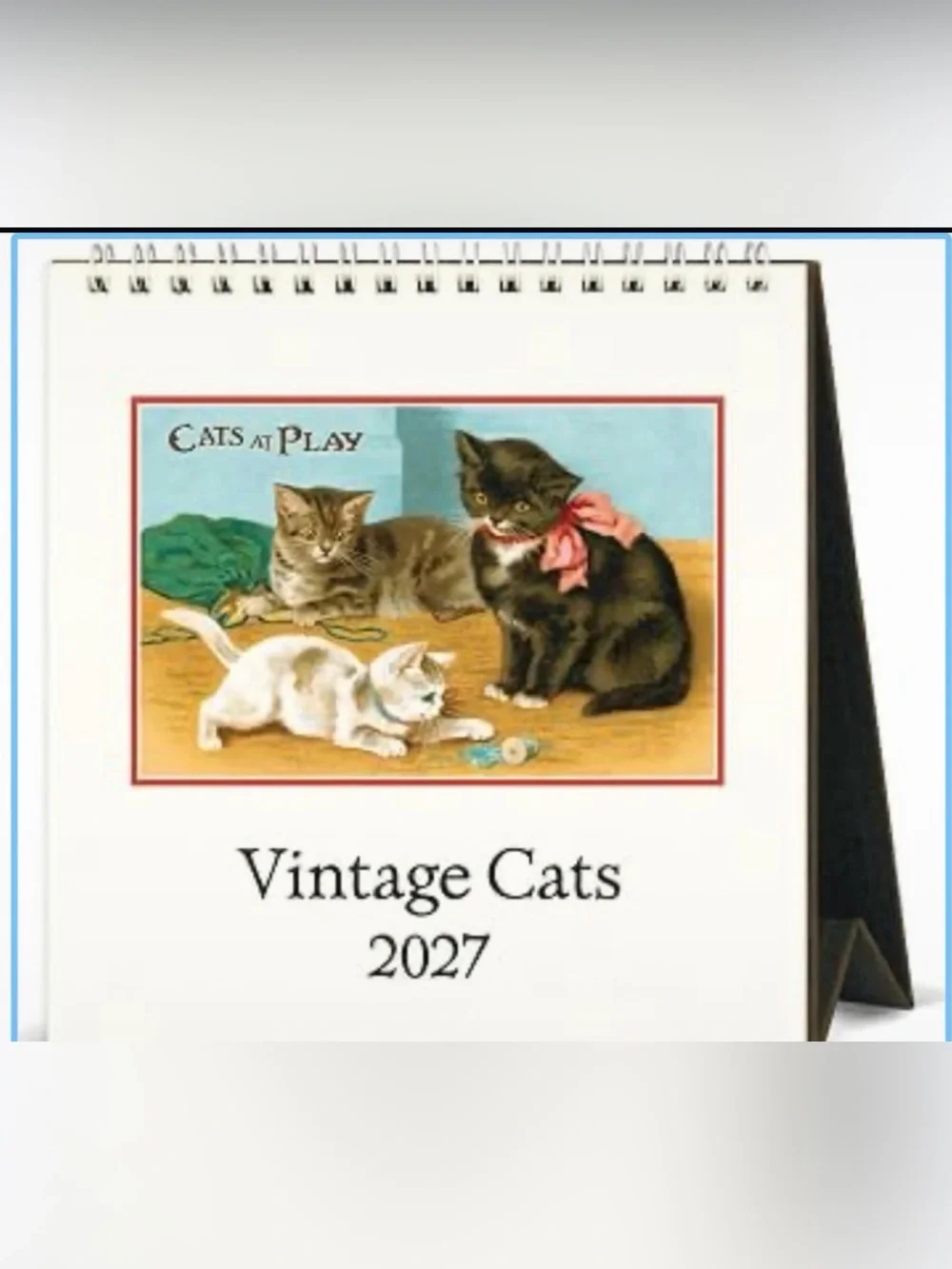 Cavallini 2027 Cats Easel Desk Calendar, 6x6.5 Inches